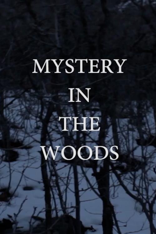 Mystery in the Woods