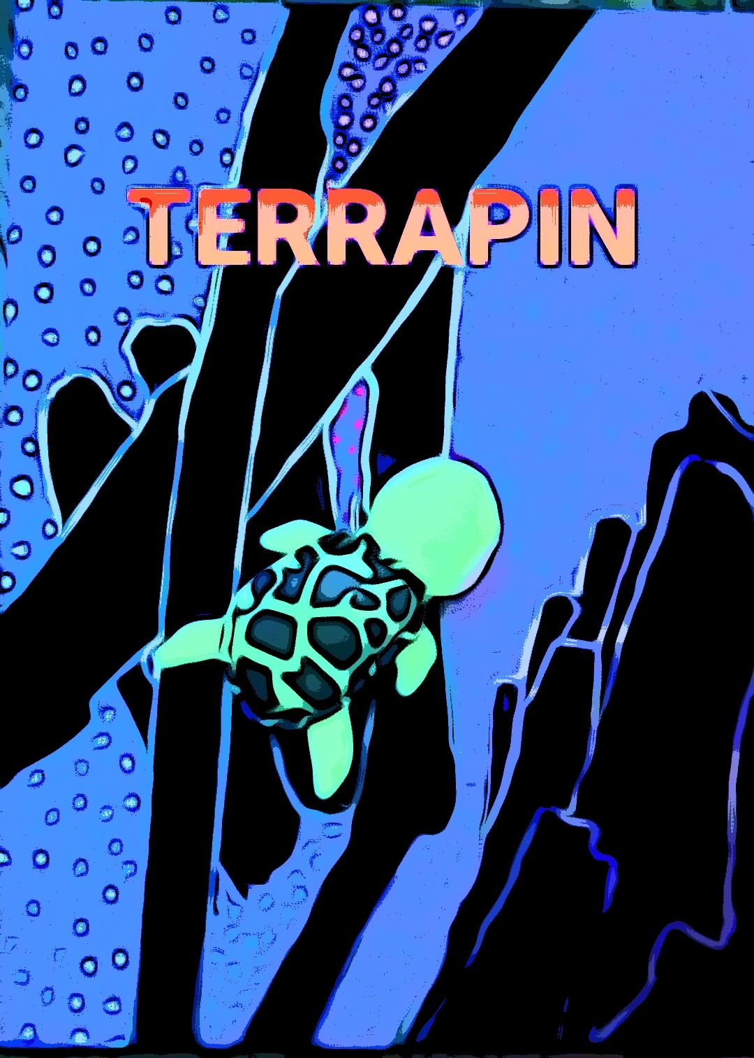 Terrapin