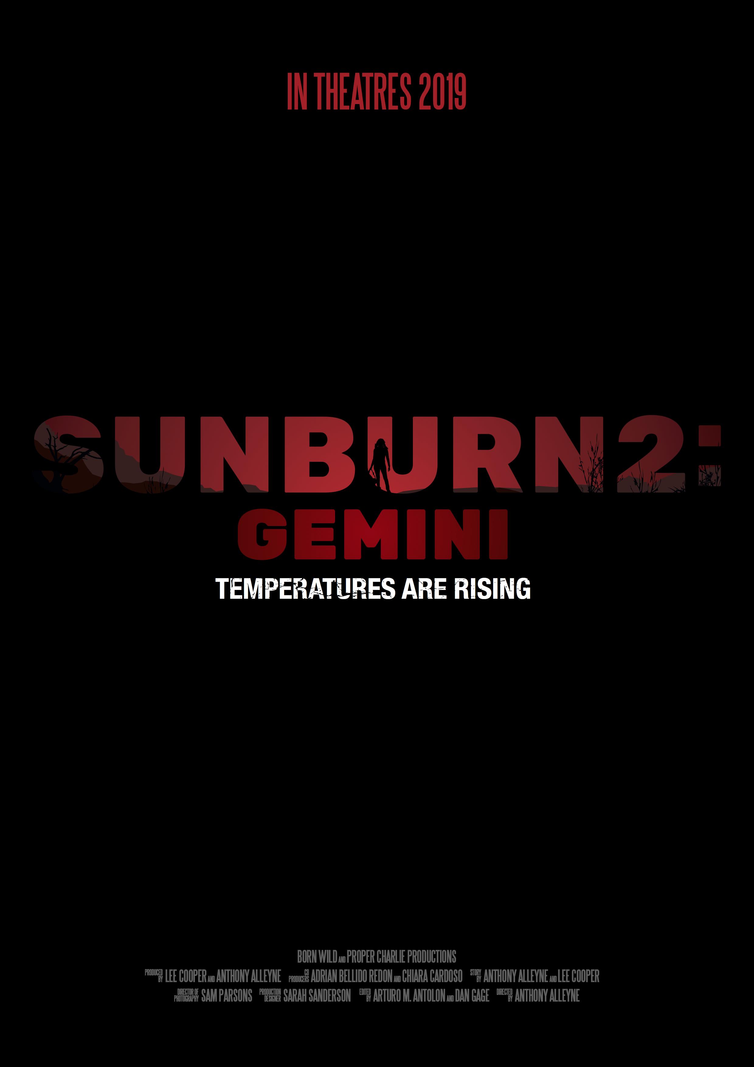 Sunburn 2