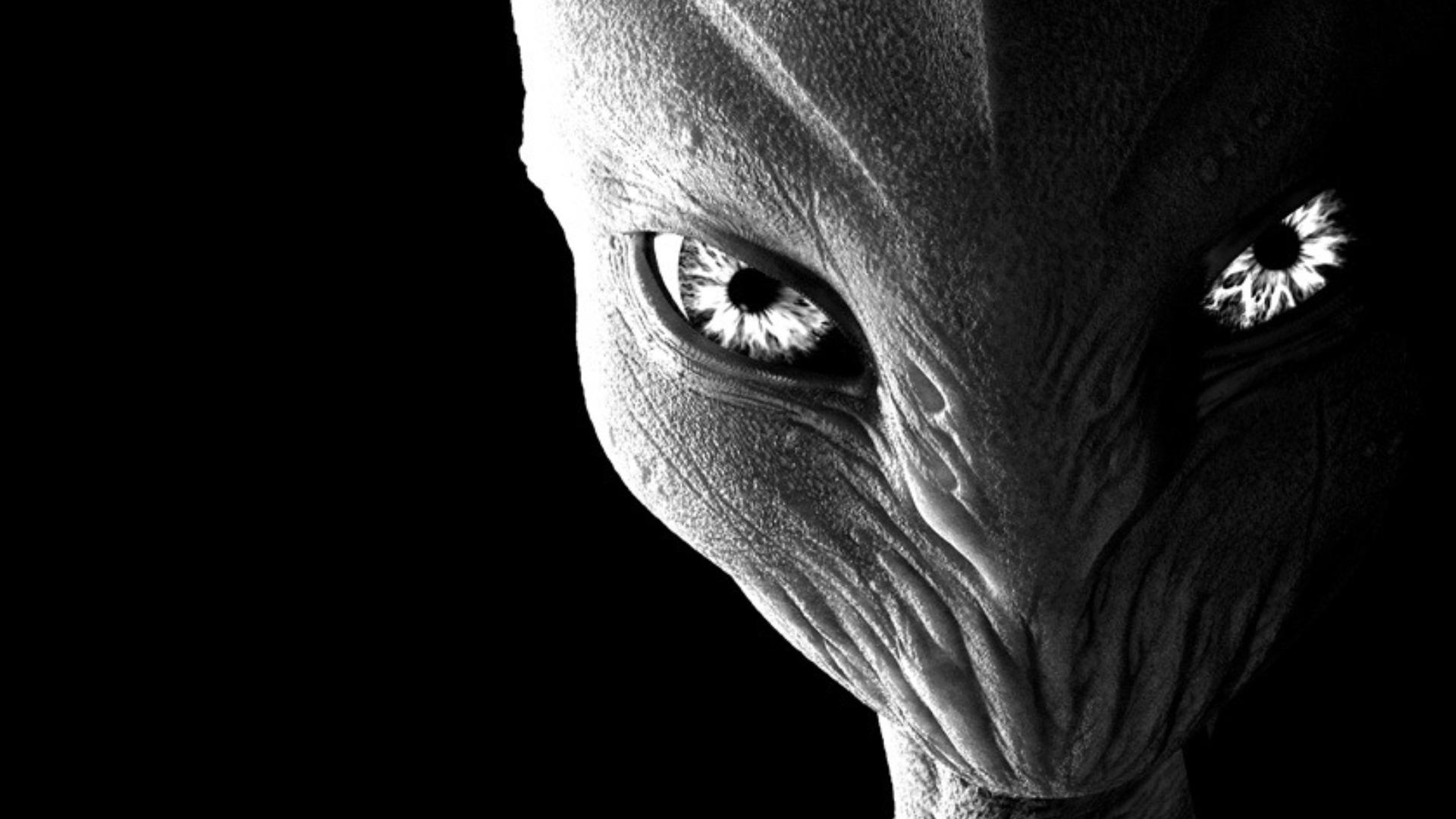 The Contactee