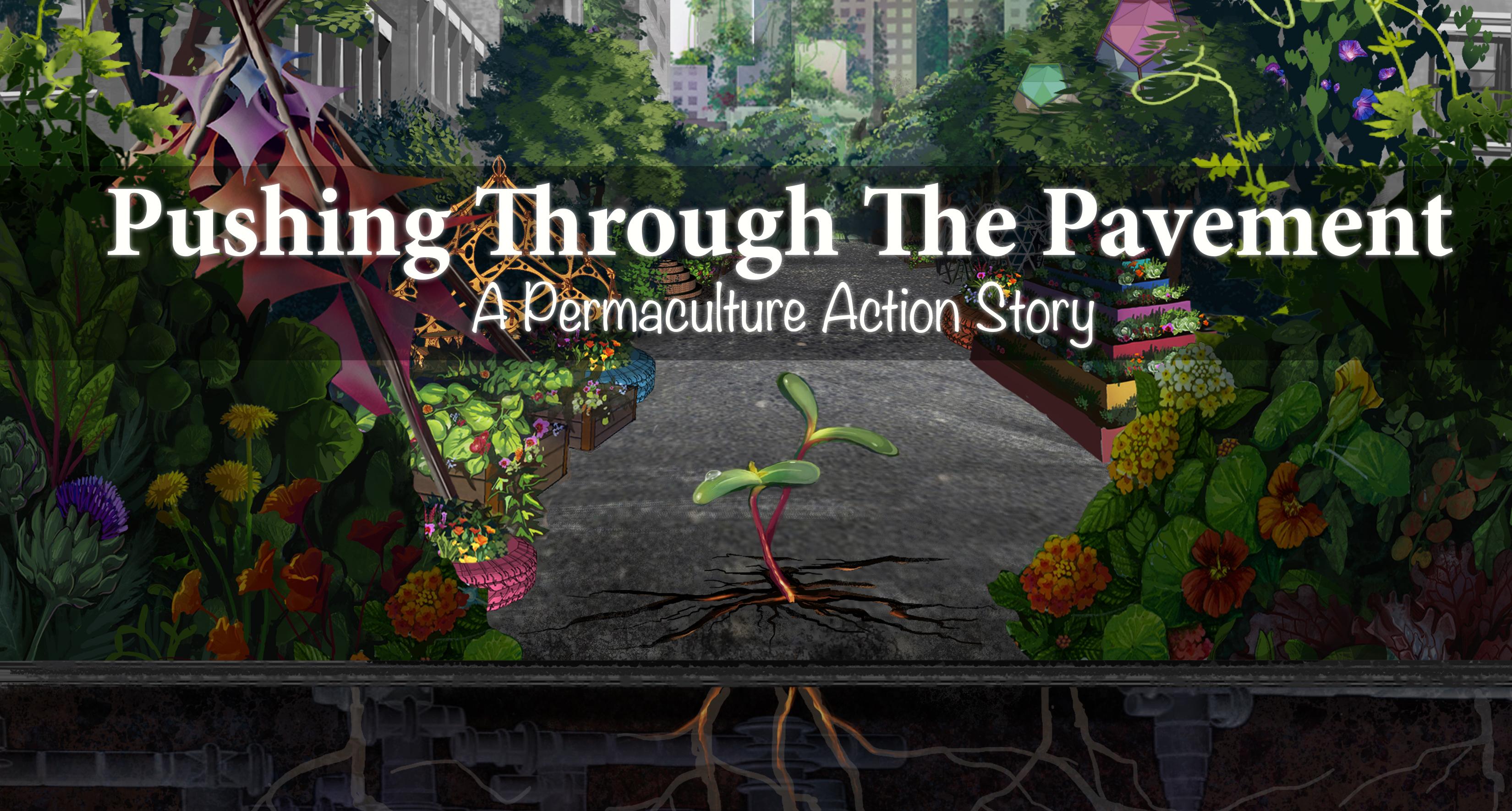 Pushing Through the Pavement: A Permaculture Action Story