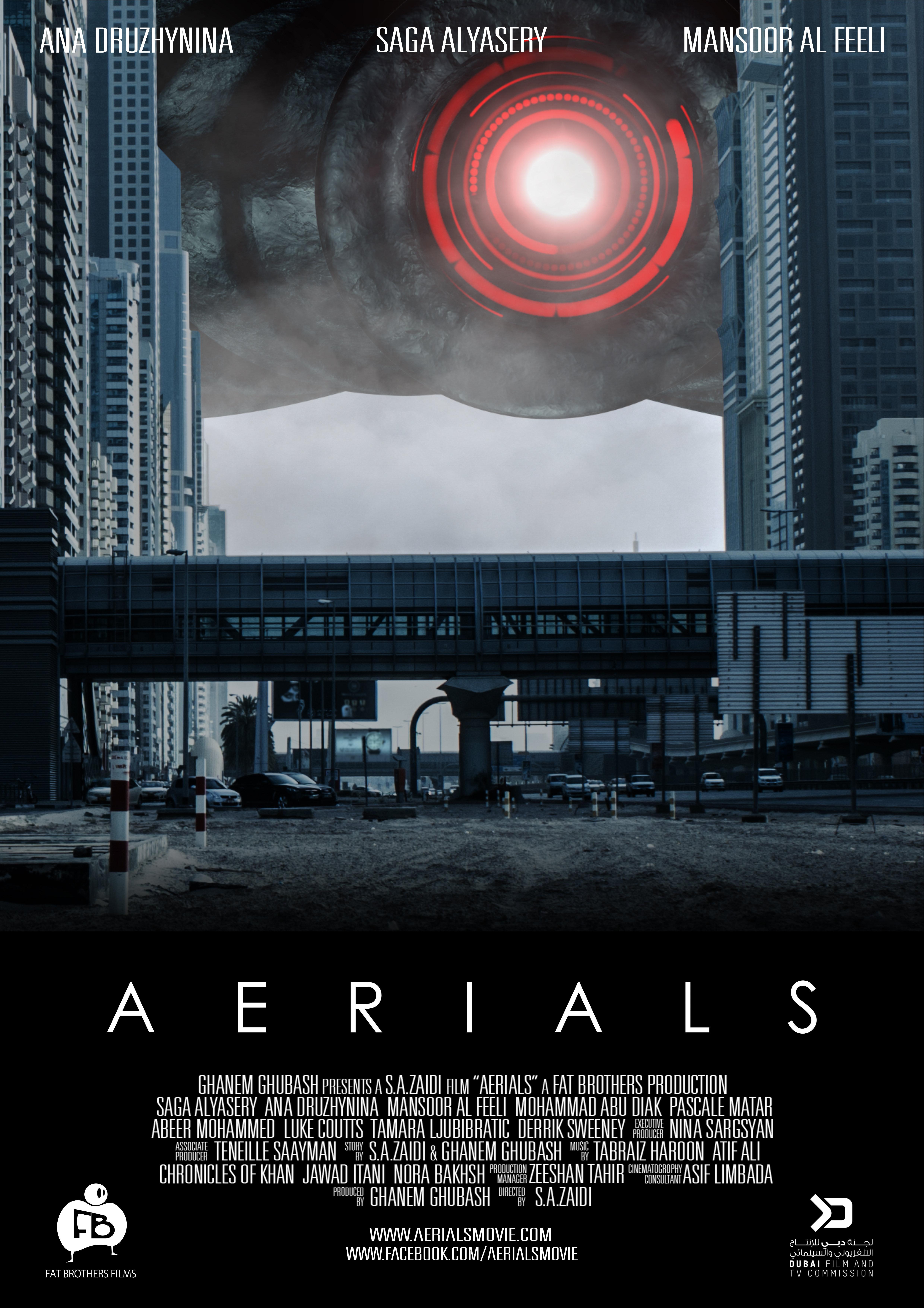 Poster Aerials
