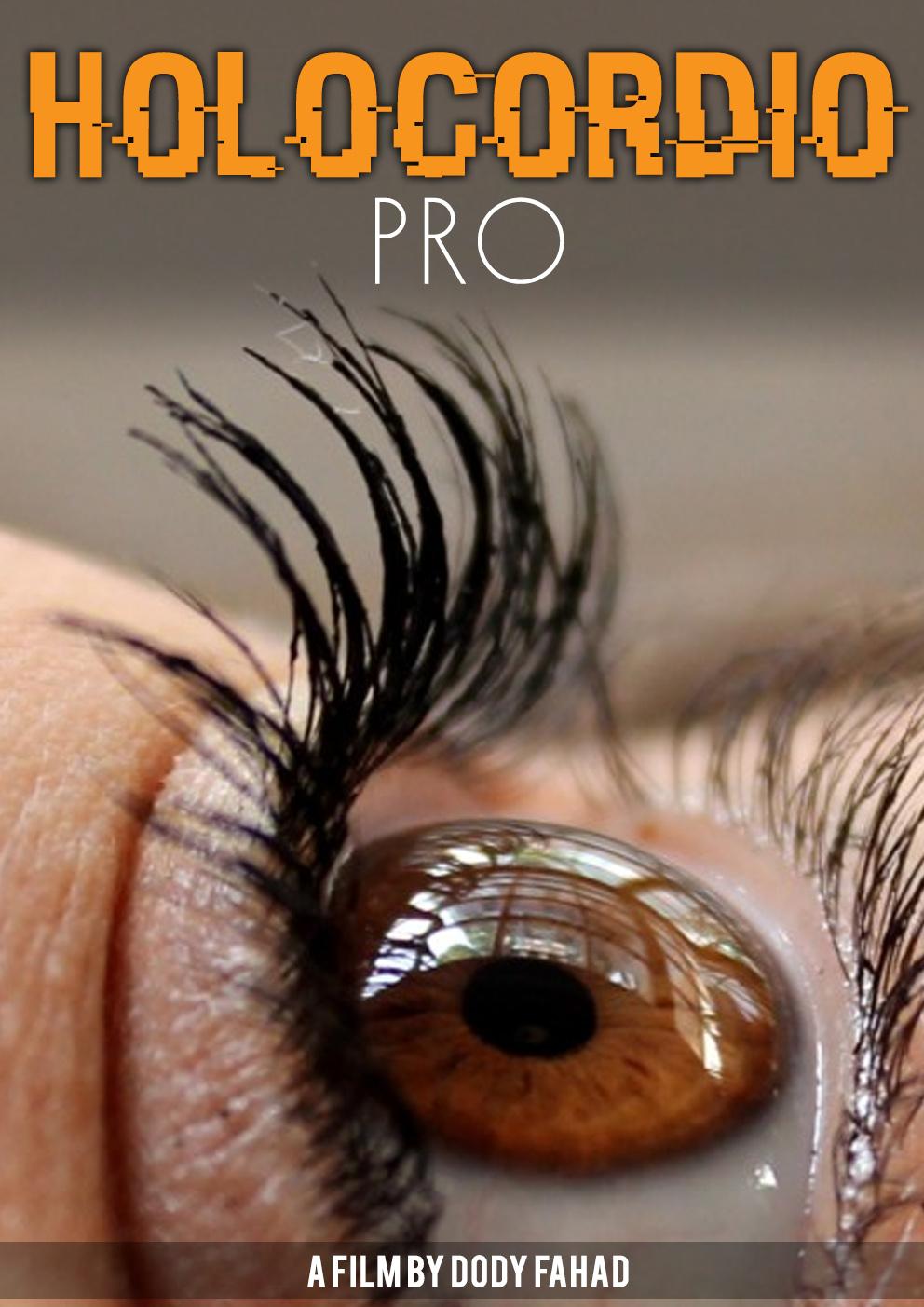 Holocordio Pro: Perceptions