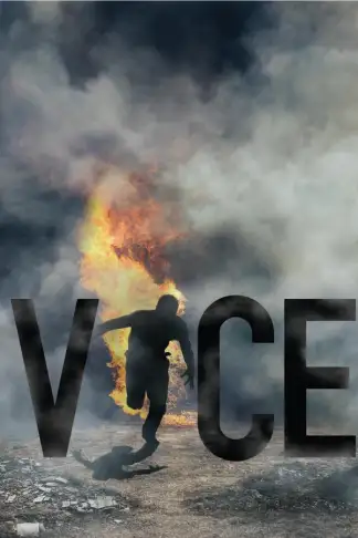 Vice (2013) poster