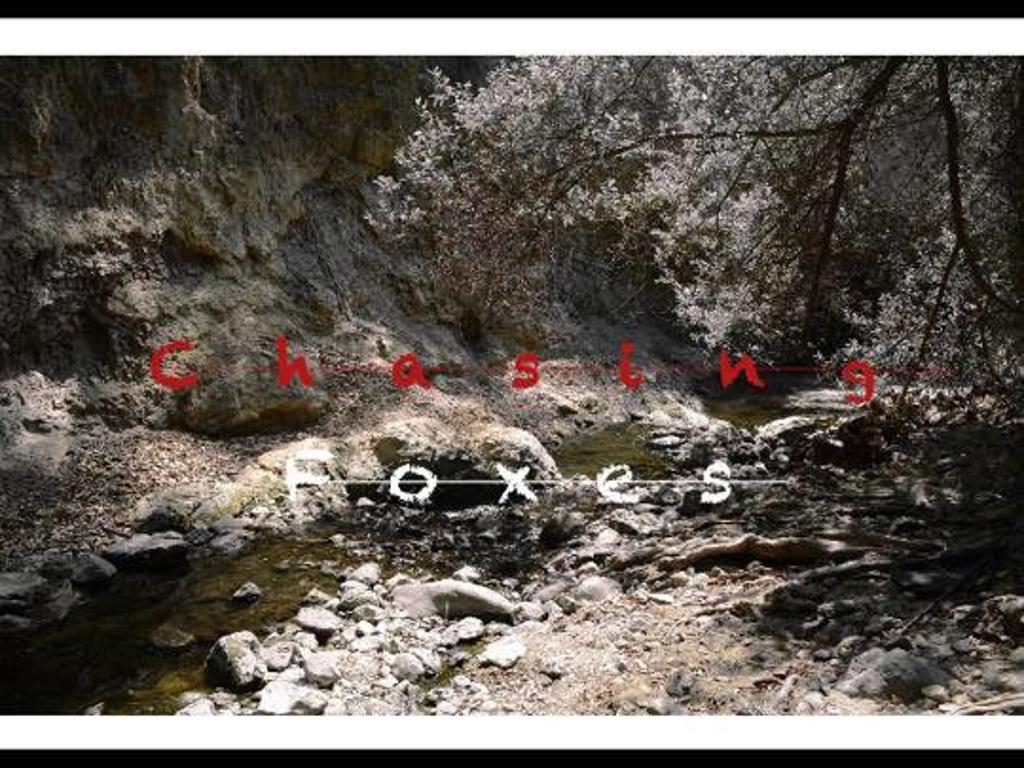 Chasing Foxes