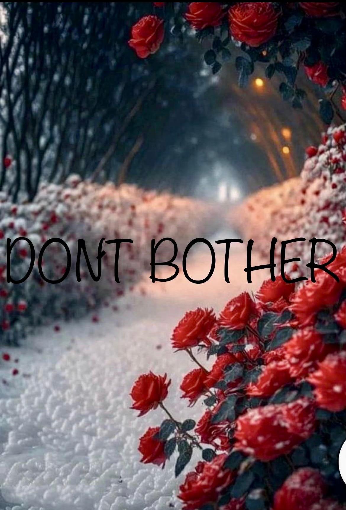 Don't Bother