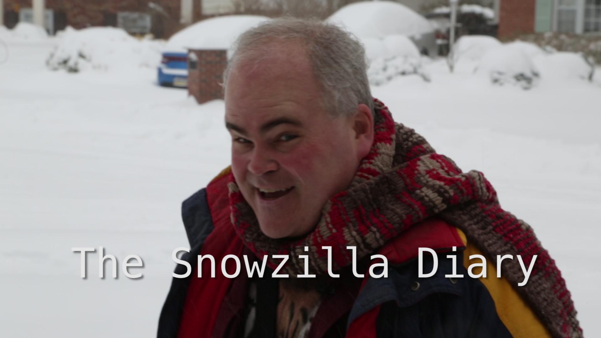 The Snowzilla Diary