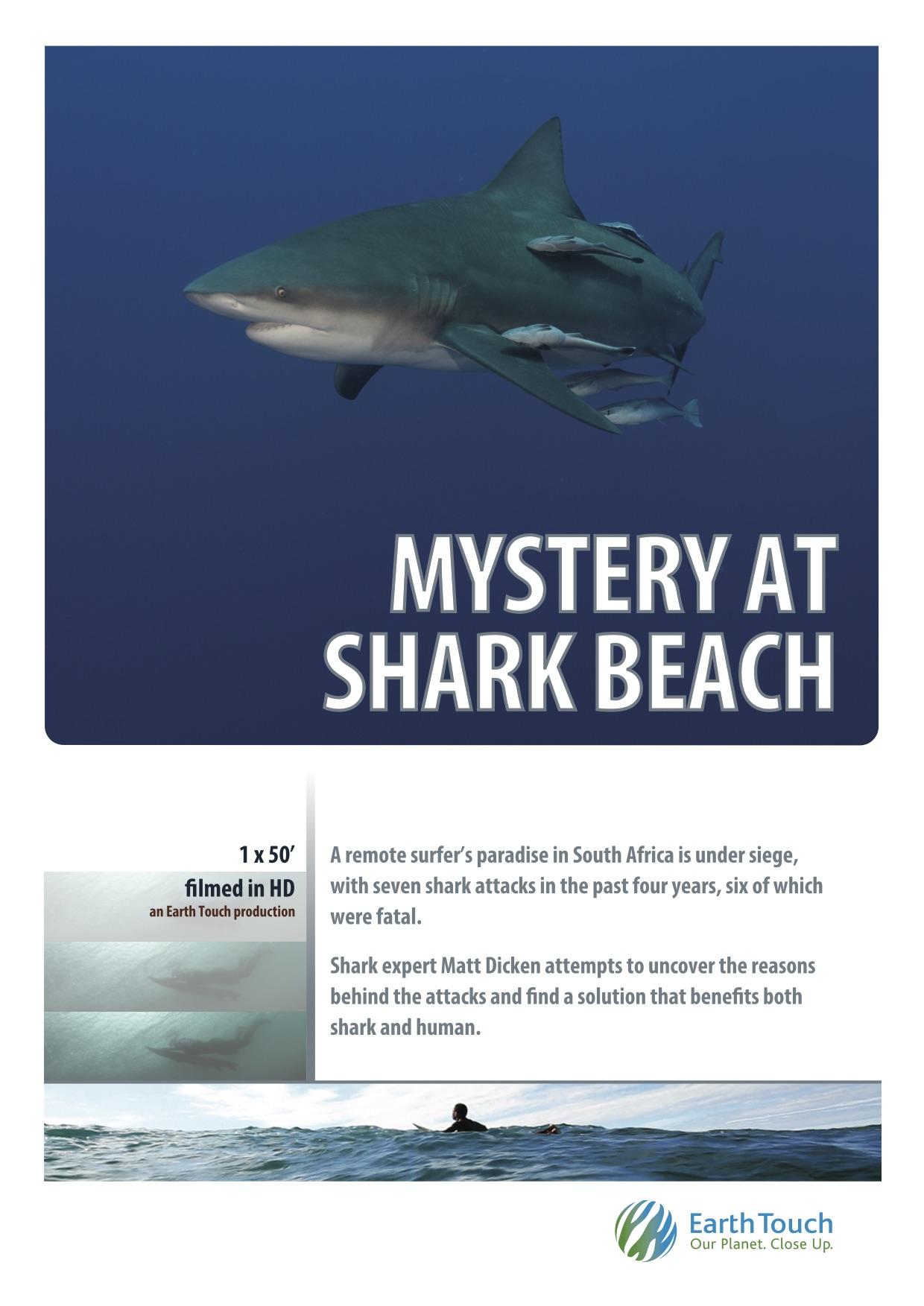 Mystery at Shark Beach