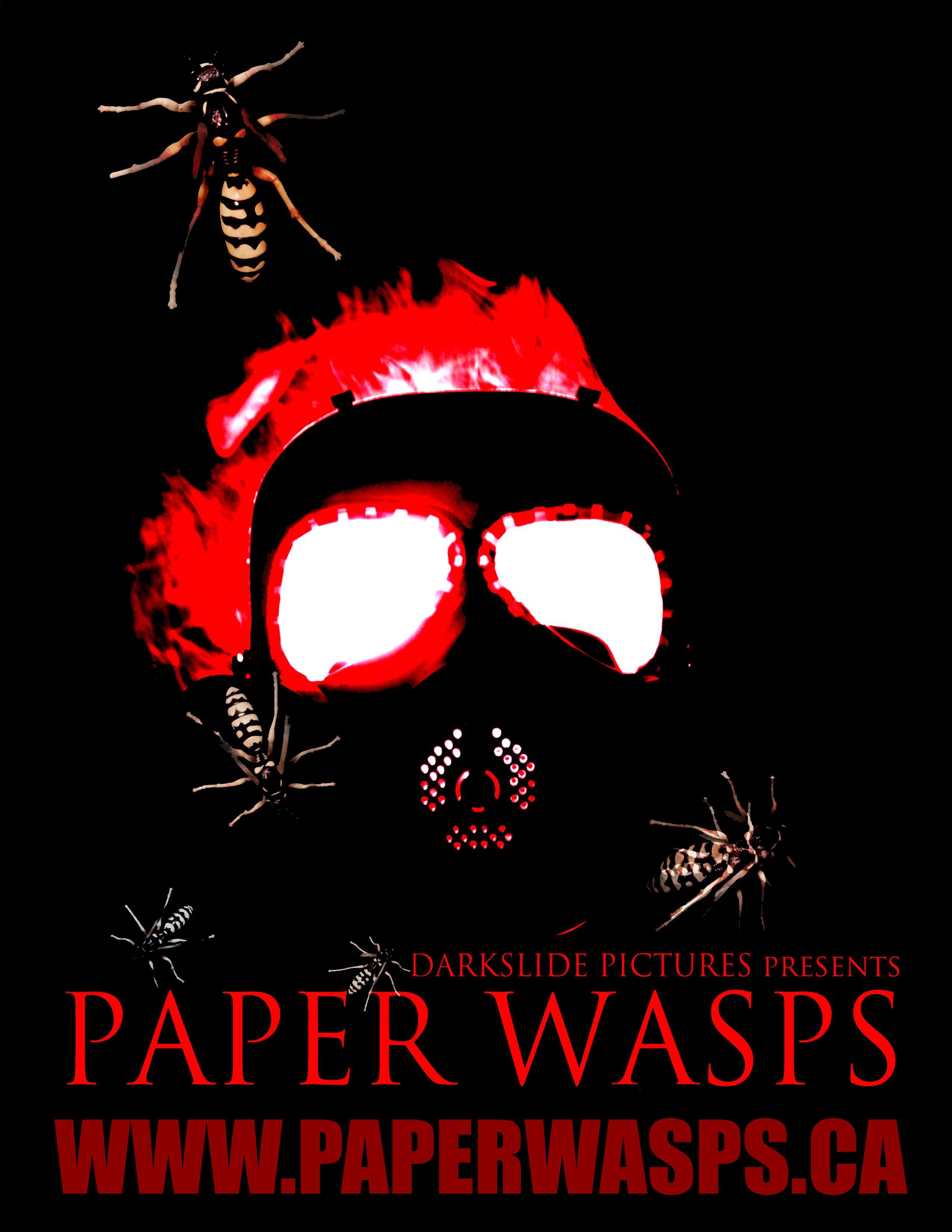 Paper Wasps