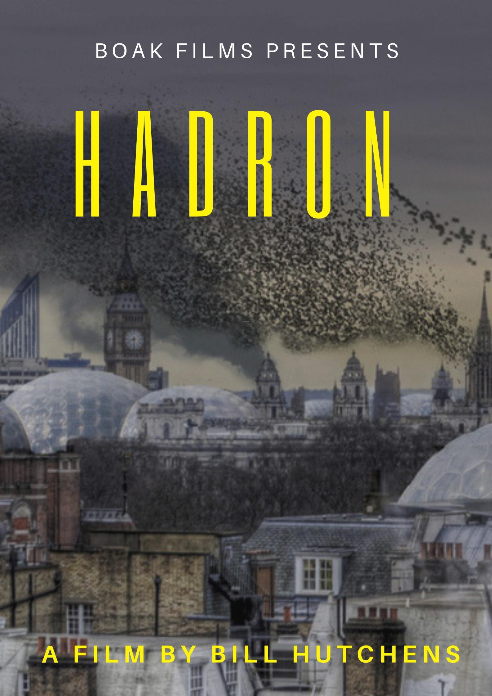 Hadron