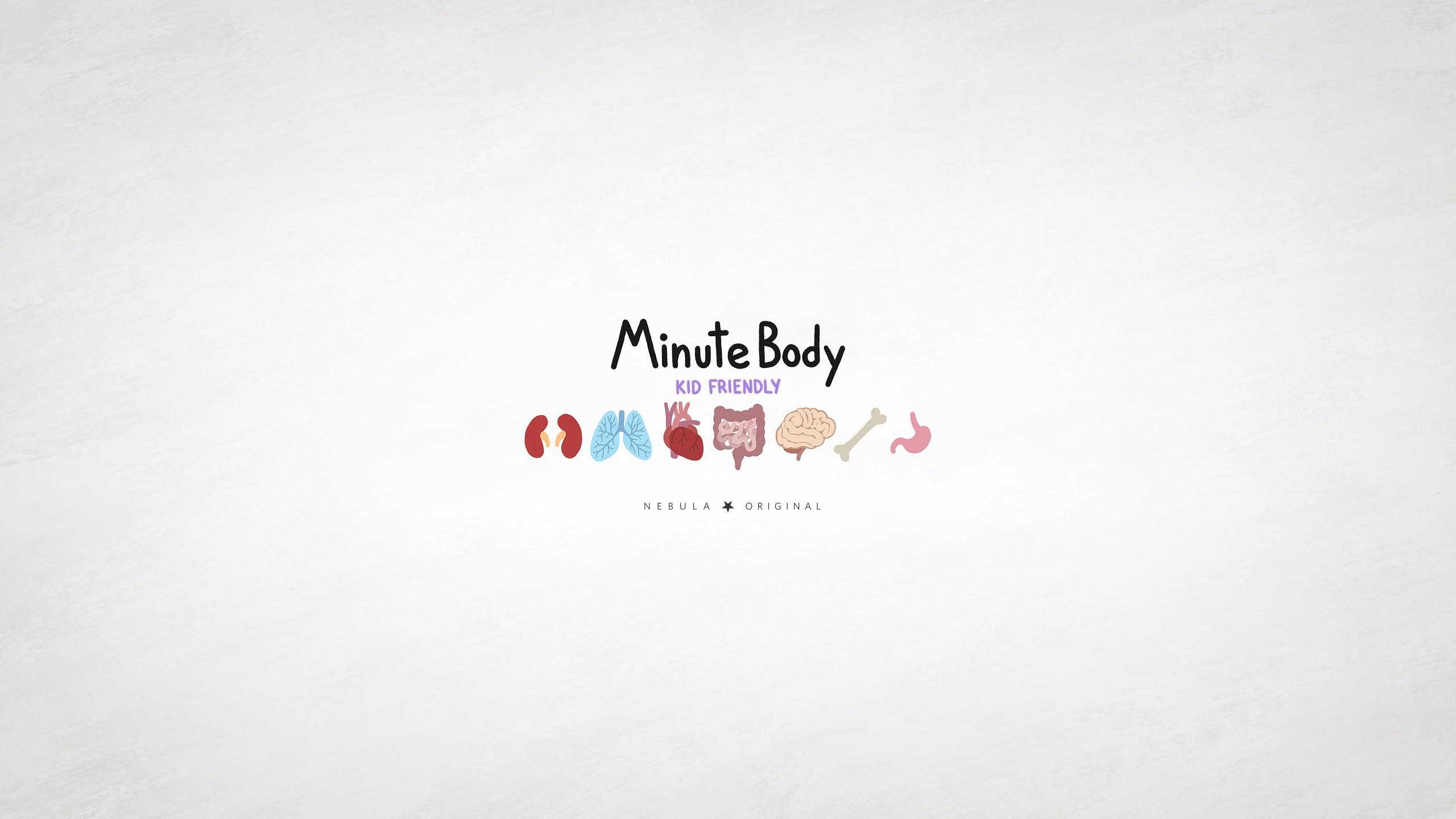 MinuteBody