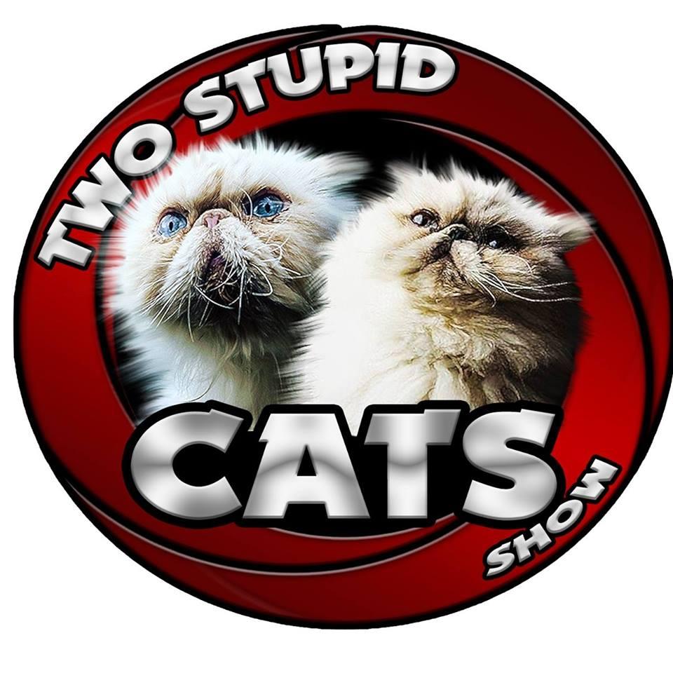 Two Stupid Cats Show