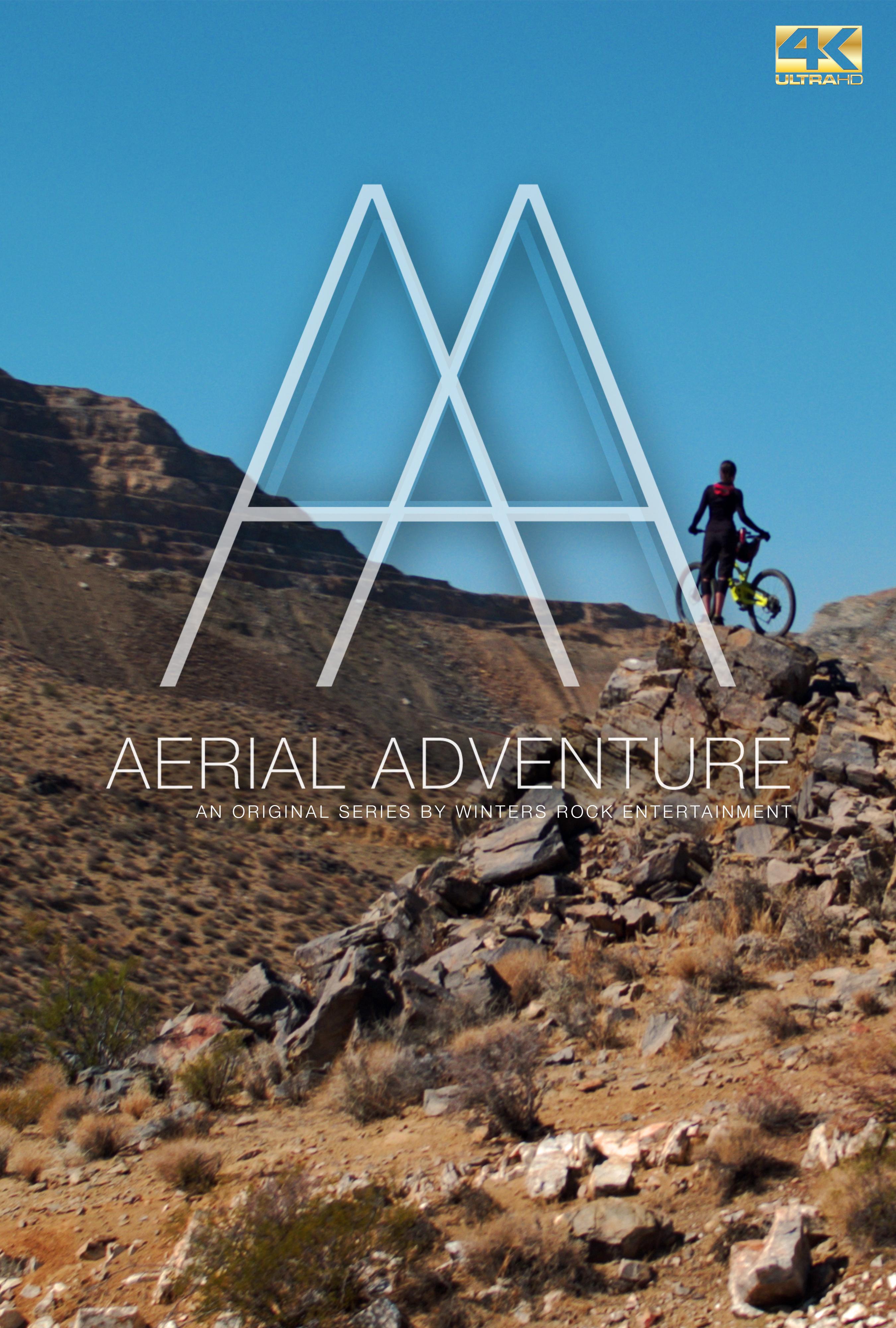 Aerial Adventure