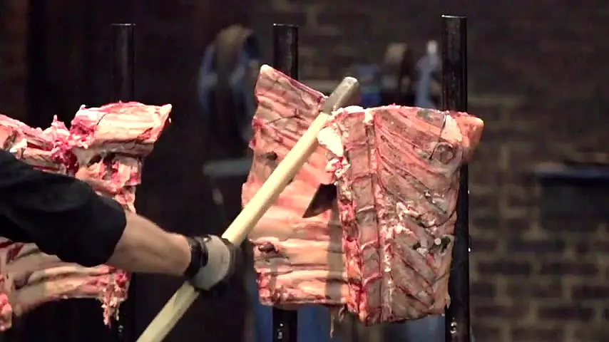 Forged in Fire