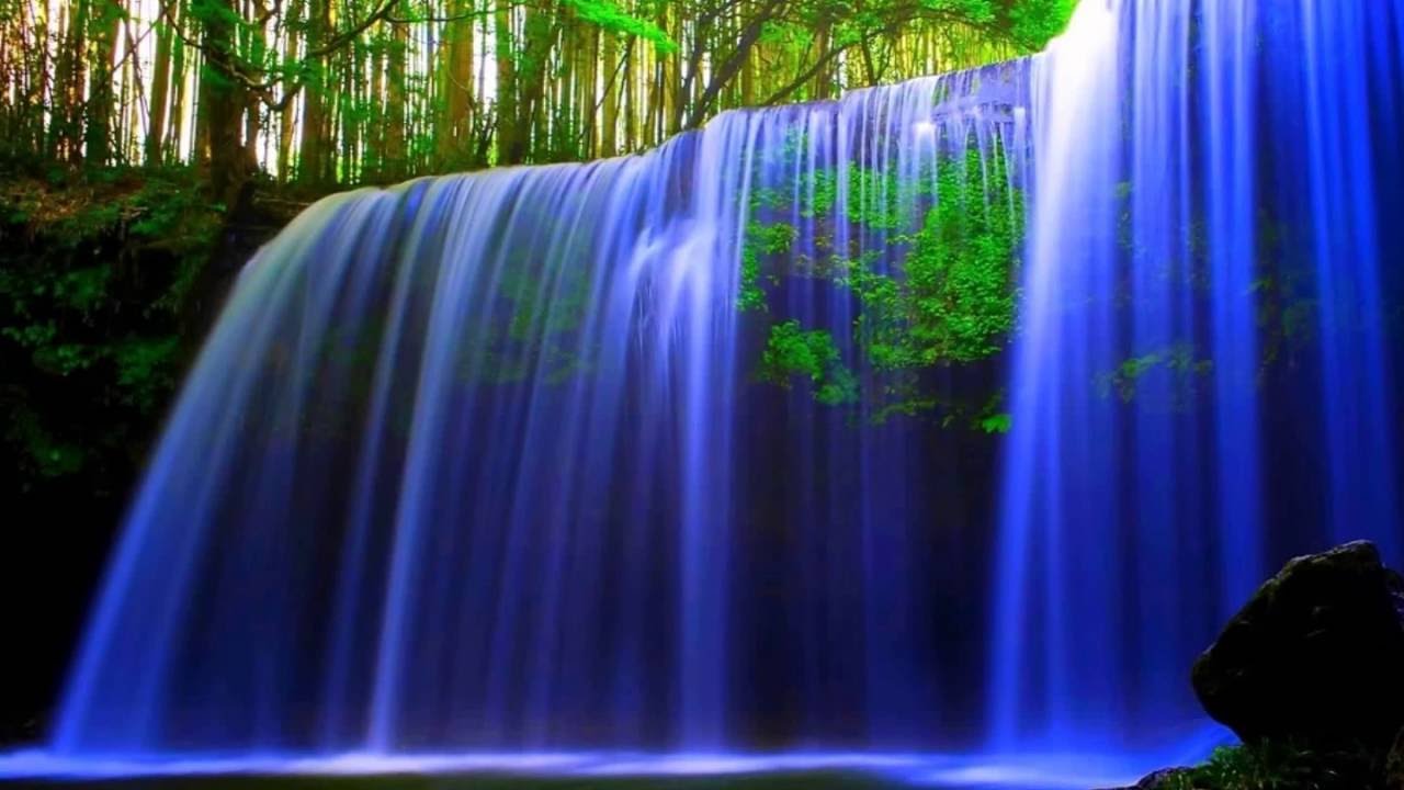 Solomon Lange MY OFFERING