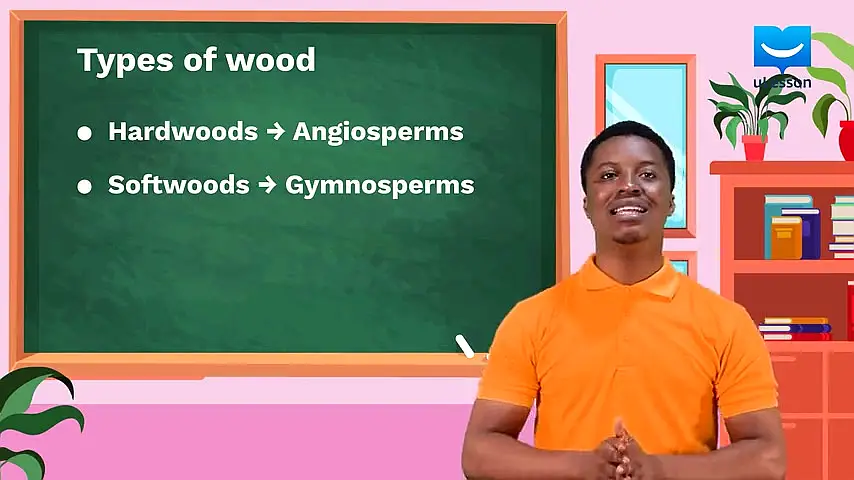 Trailer—JS 3 Science & Technology