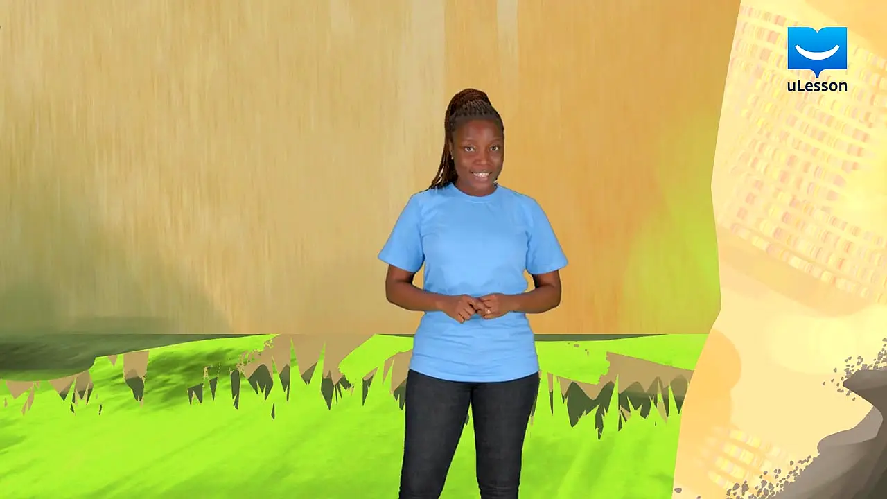 Trailer—Primary 5 Science & Technology