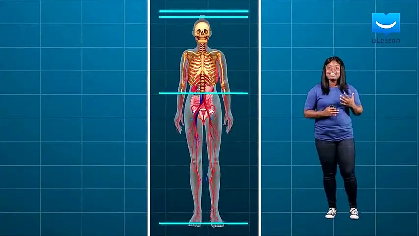 Trailer—JS 3 Science & Technology