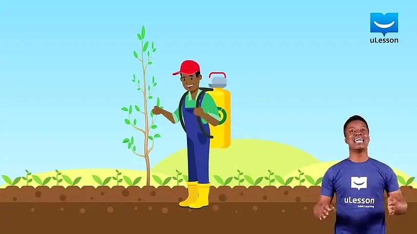 Trailer—SS 1 Physical