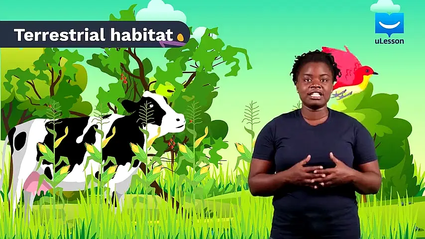 Trailer—JS 2 Science & Technology