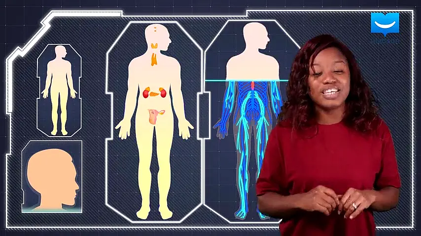 Trailer—SS 3 Biology