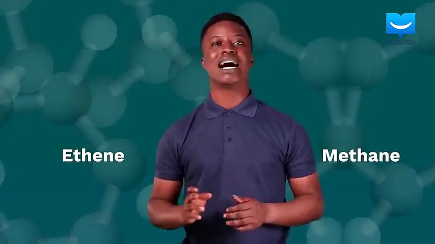 Trailer—SS 3 Physical