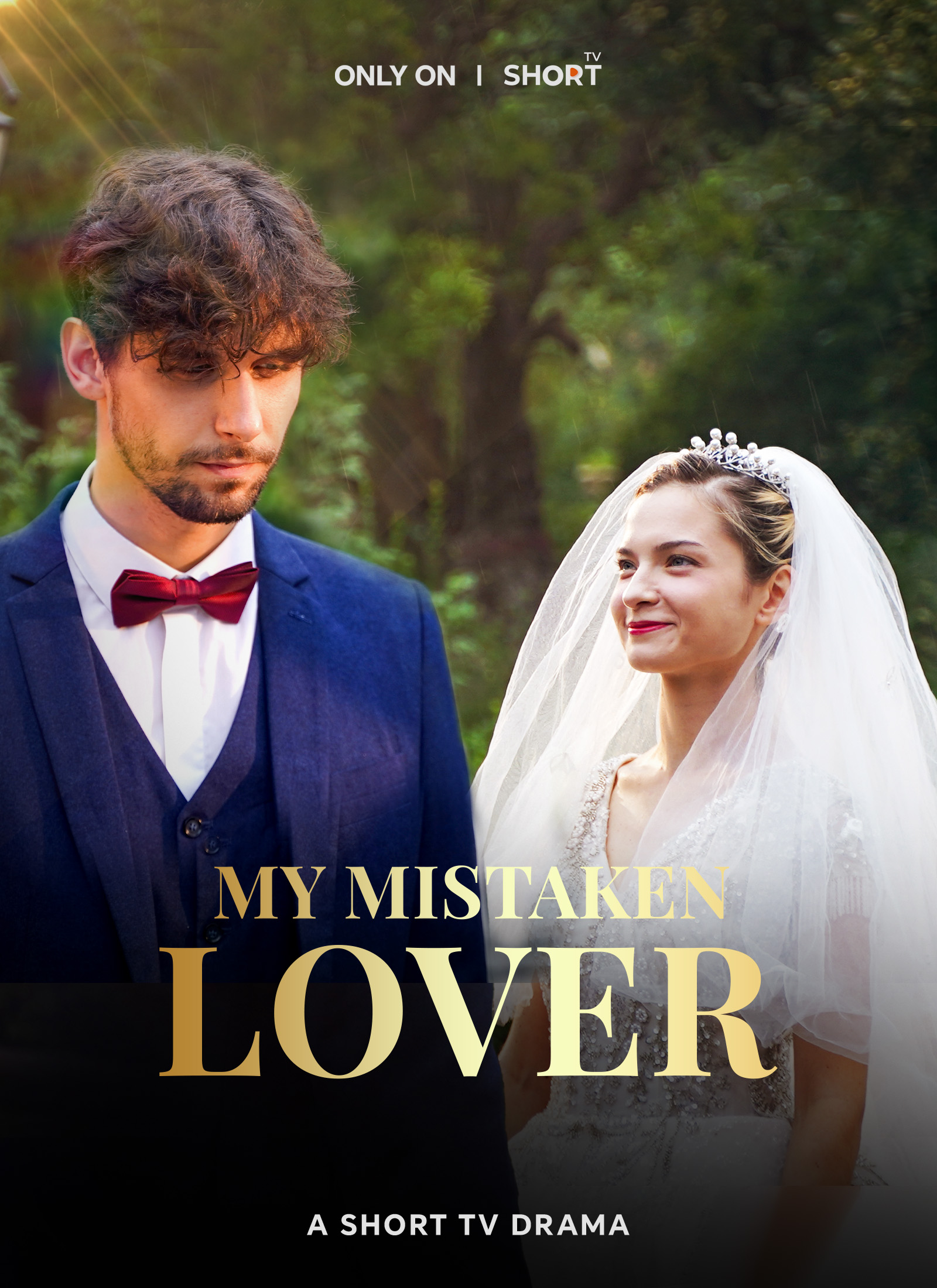 Poster My Mistaken Lover