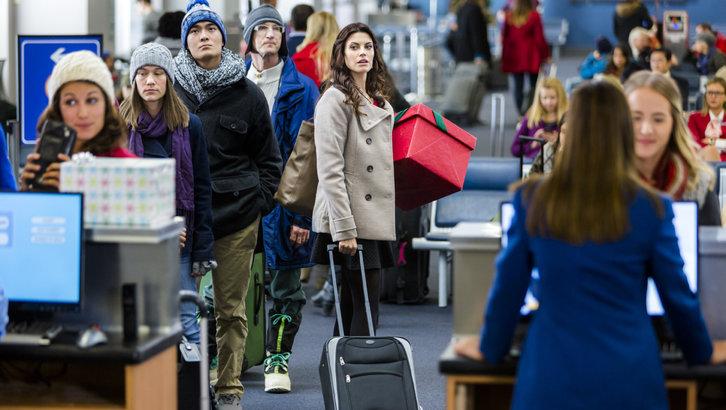 All This And a Cute Puppy