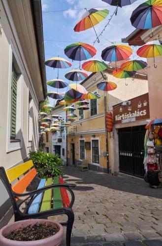 Fair start for the New Year