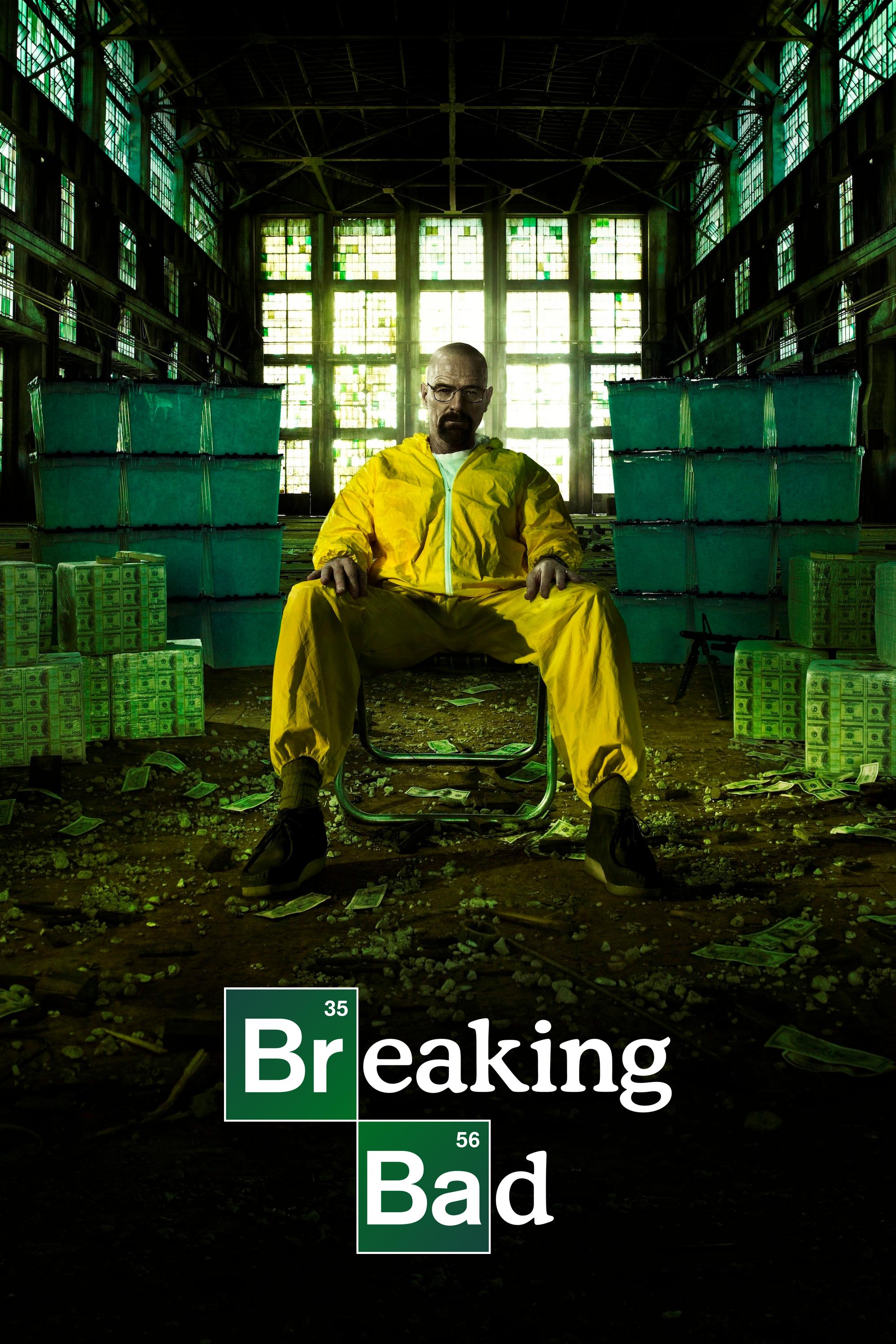 Breaking Bad [Hindi] S1-S5