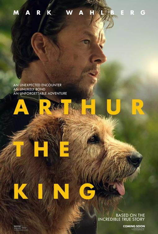 Arthur the King_480P