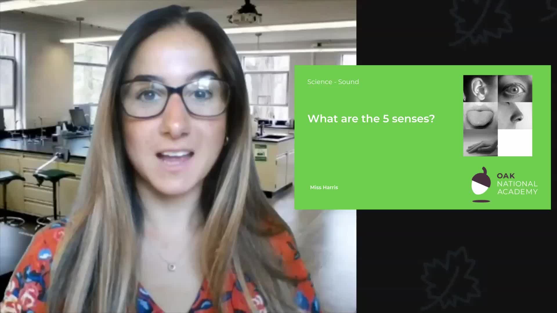 What are the 5 senses?