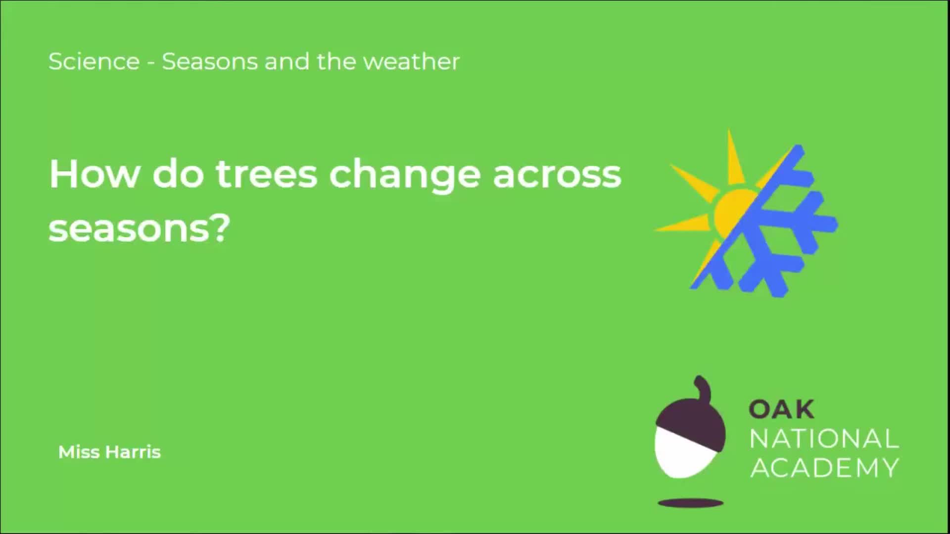 How do trees change across the seasons?