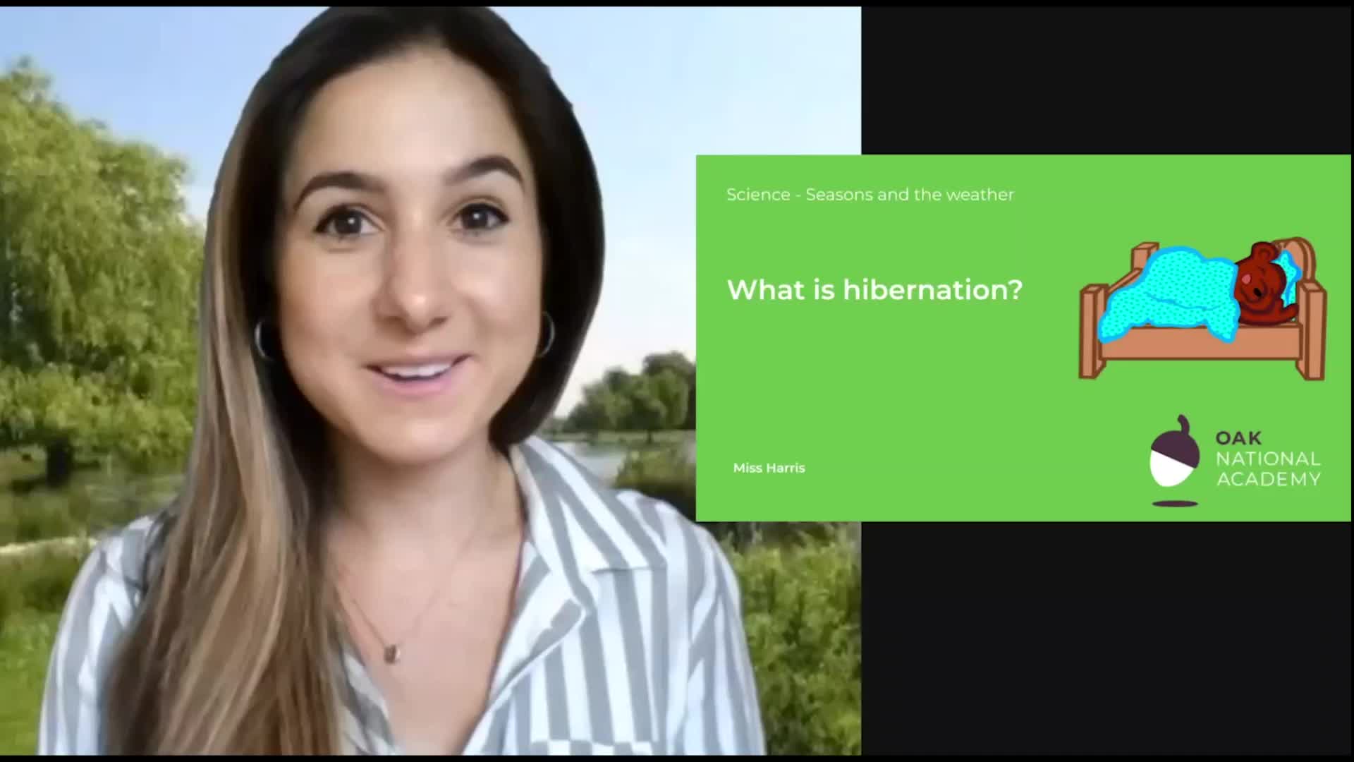 What is hibernation?