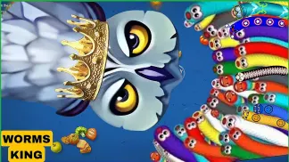 worms zone io new update2024 | Worms zone highest score | Snake zone | samp wala game 2024 (2024) poster