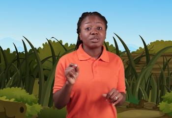 Adaptive Colouration in Plants and Animals