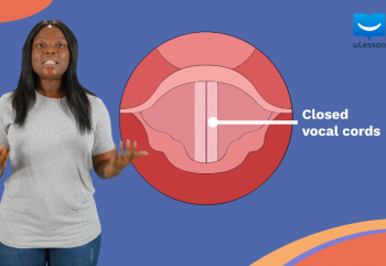 Voiced Consonant Sounds