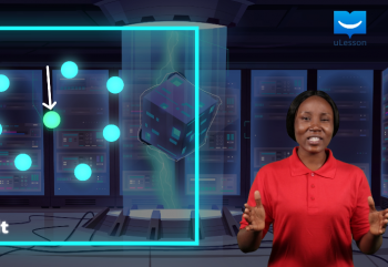 Main Ideas and Supporting Details