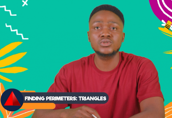 Finding Perimeters: Triangles