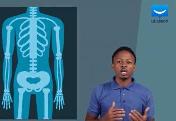 Energy and Development