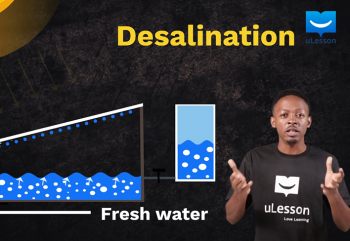 Applications of Solar Collectors