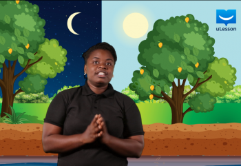 Rotation and Revolution of Earth