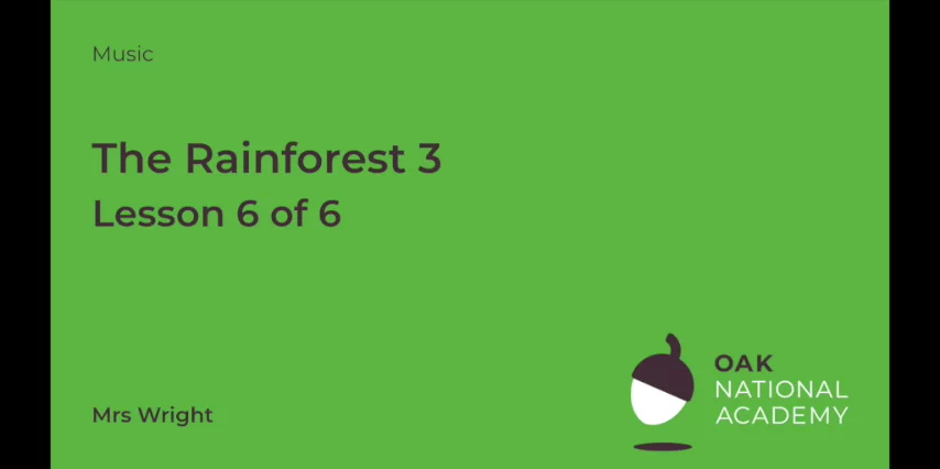 The Rainforest (Part 3)