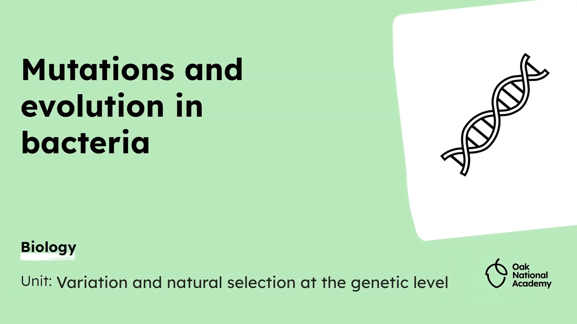 Mutations and evolution in bacteria