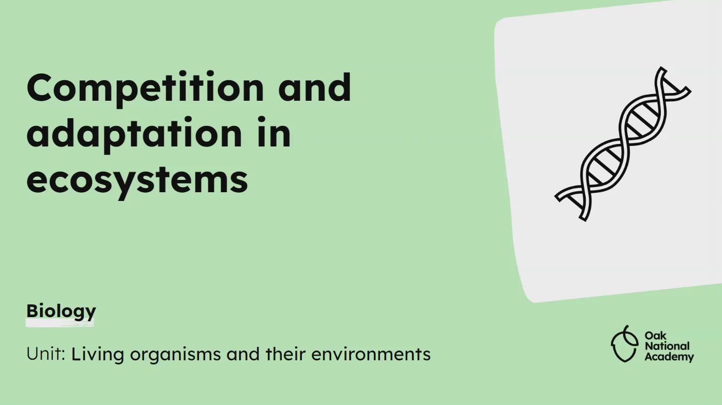 Competition and adaptations in ecosystems