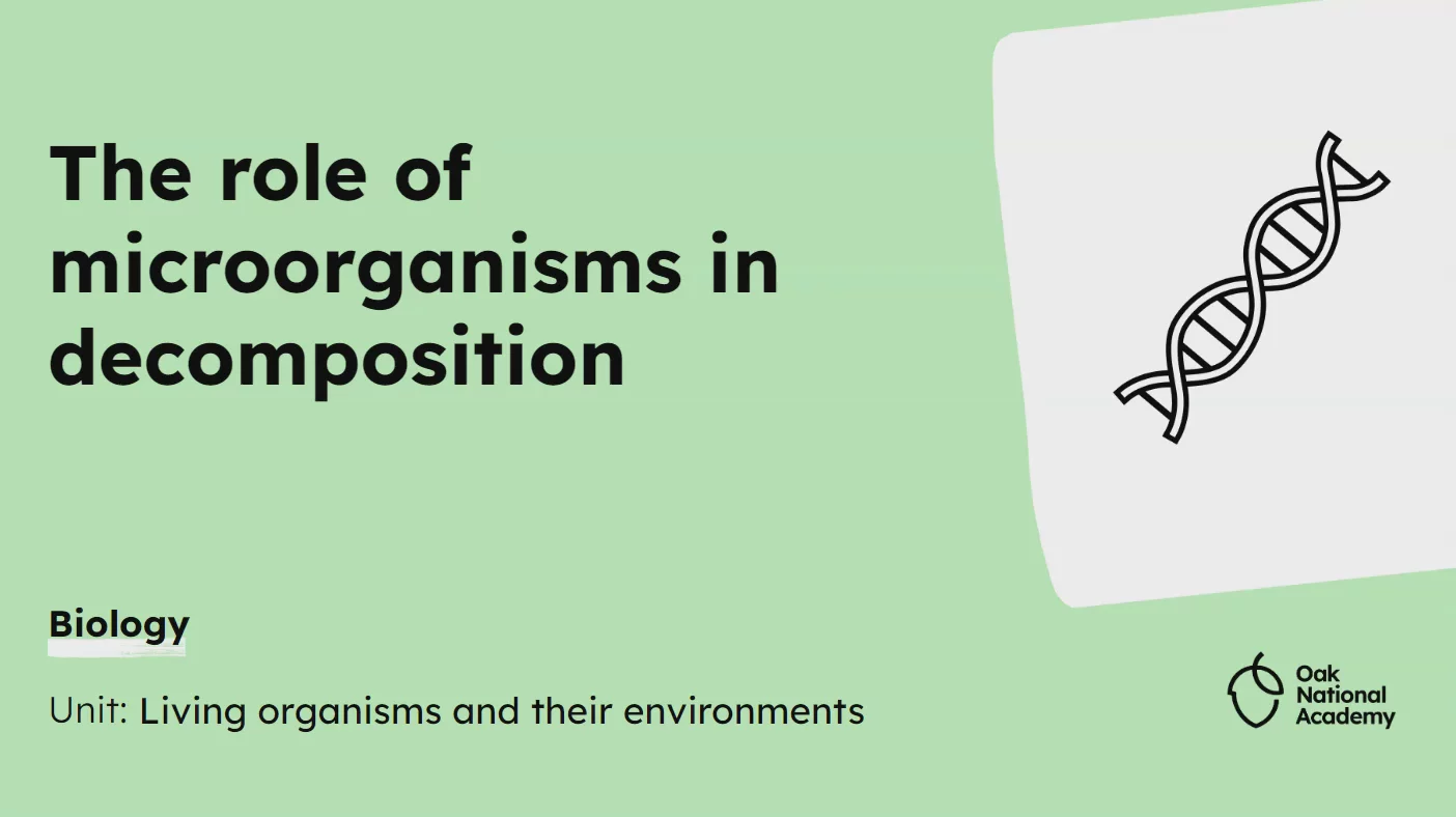The role of microorganisms in decomposition