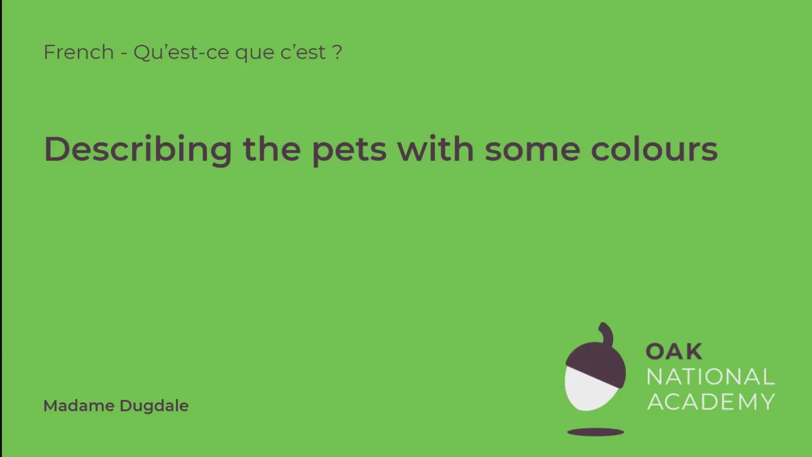 Describing the pets with some colours