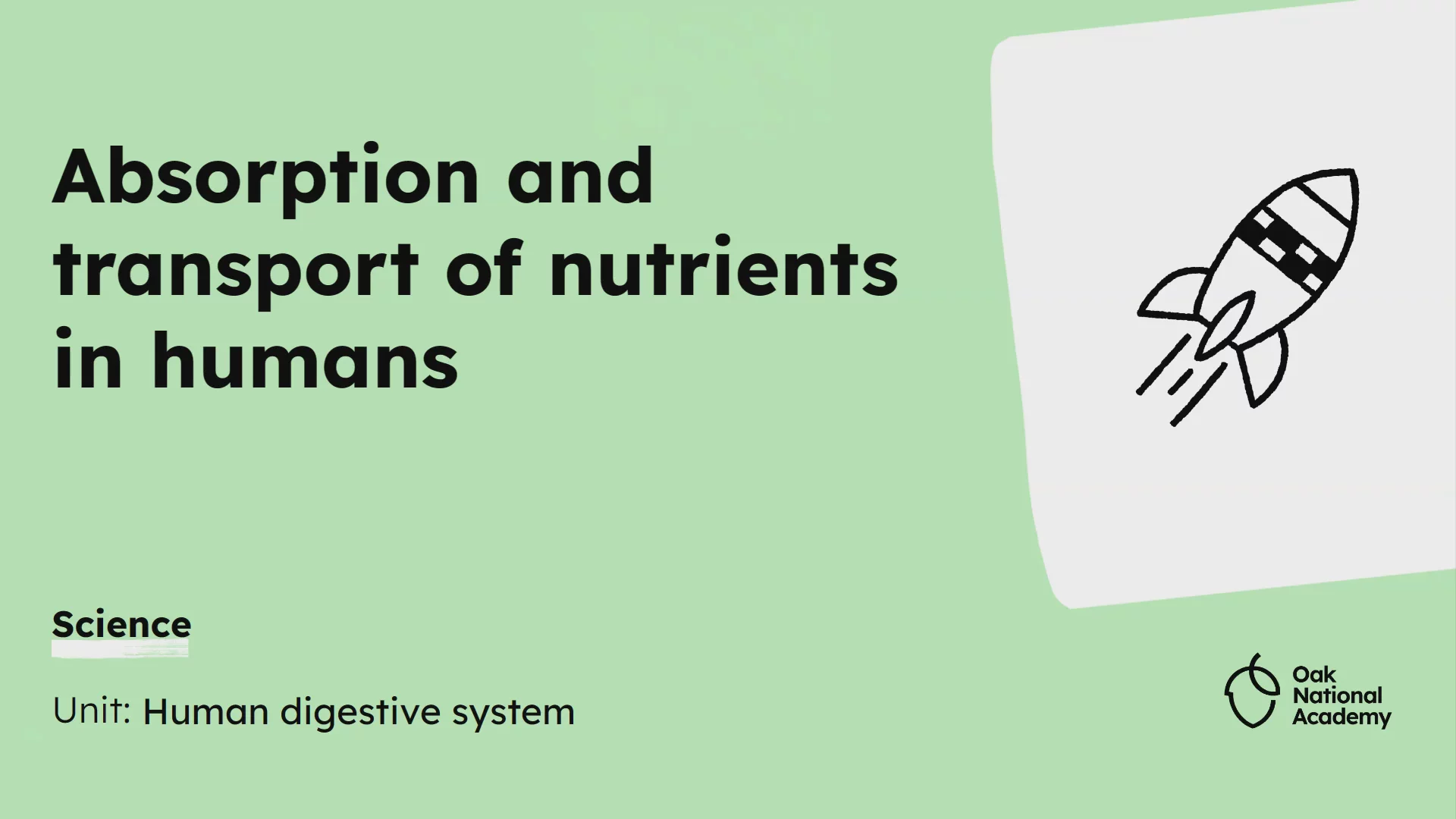 Absorption and transport of nutrients in humans