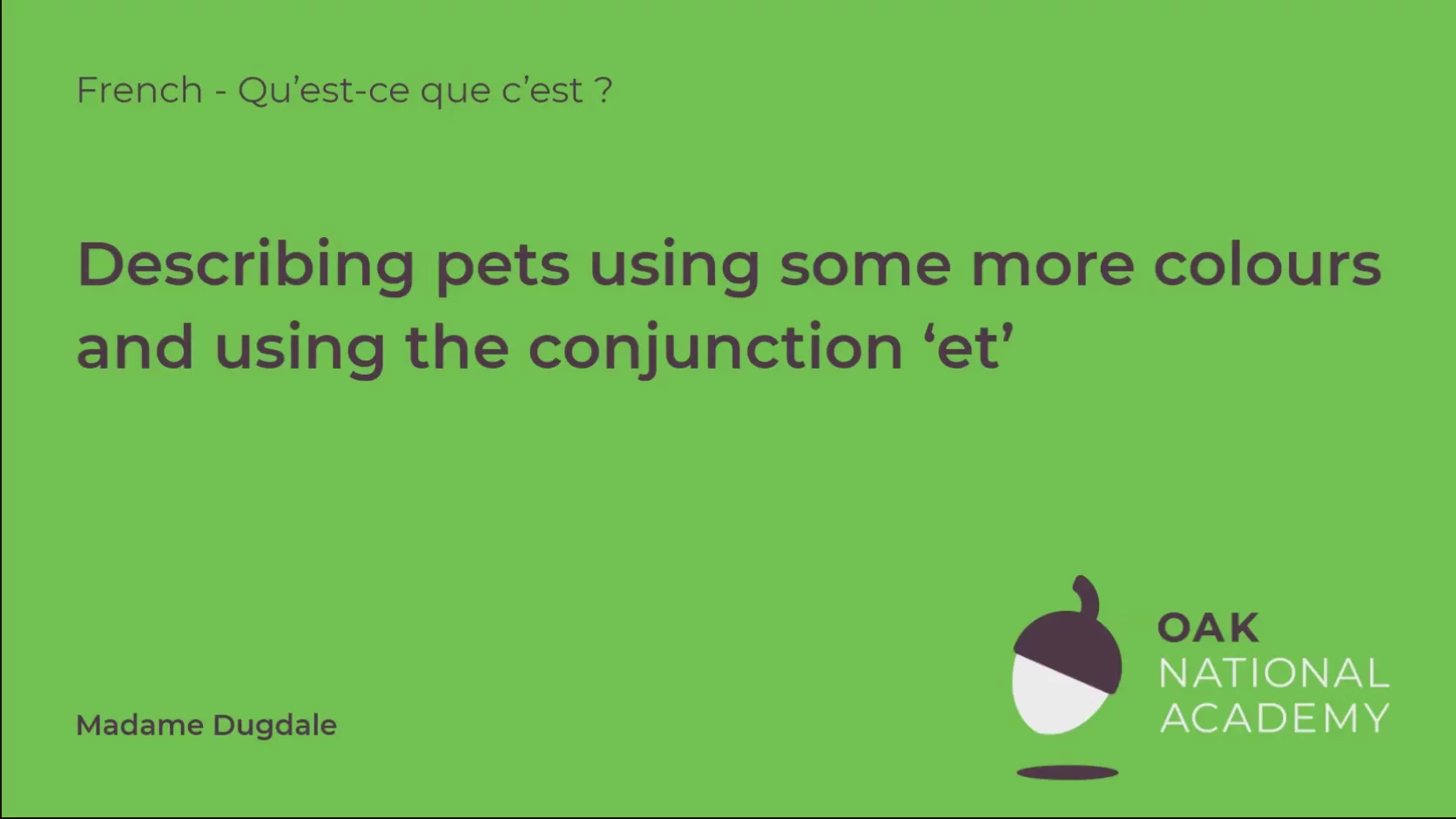 Describing pets using some more colours and using the conjunction 'et'