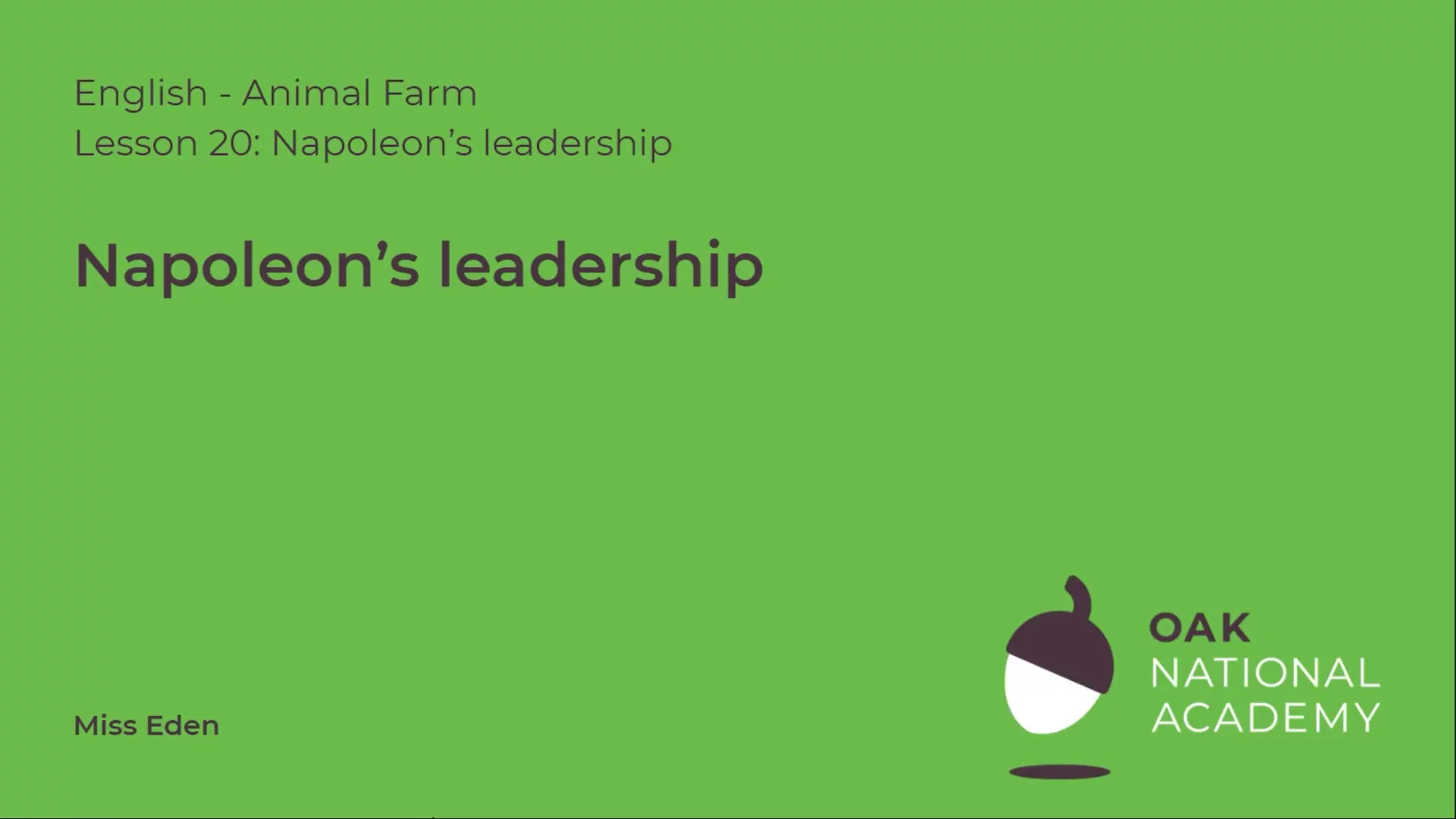 Napoleon's leadership